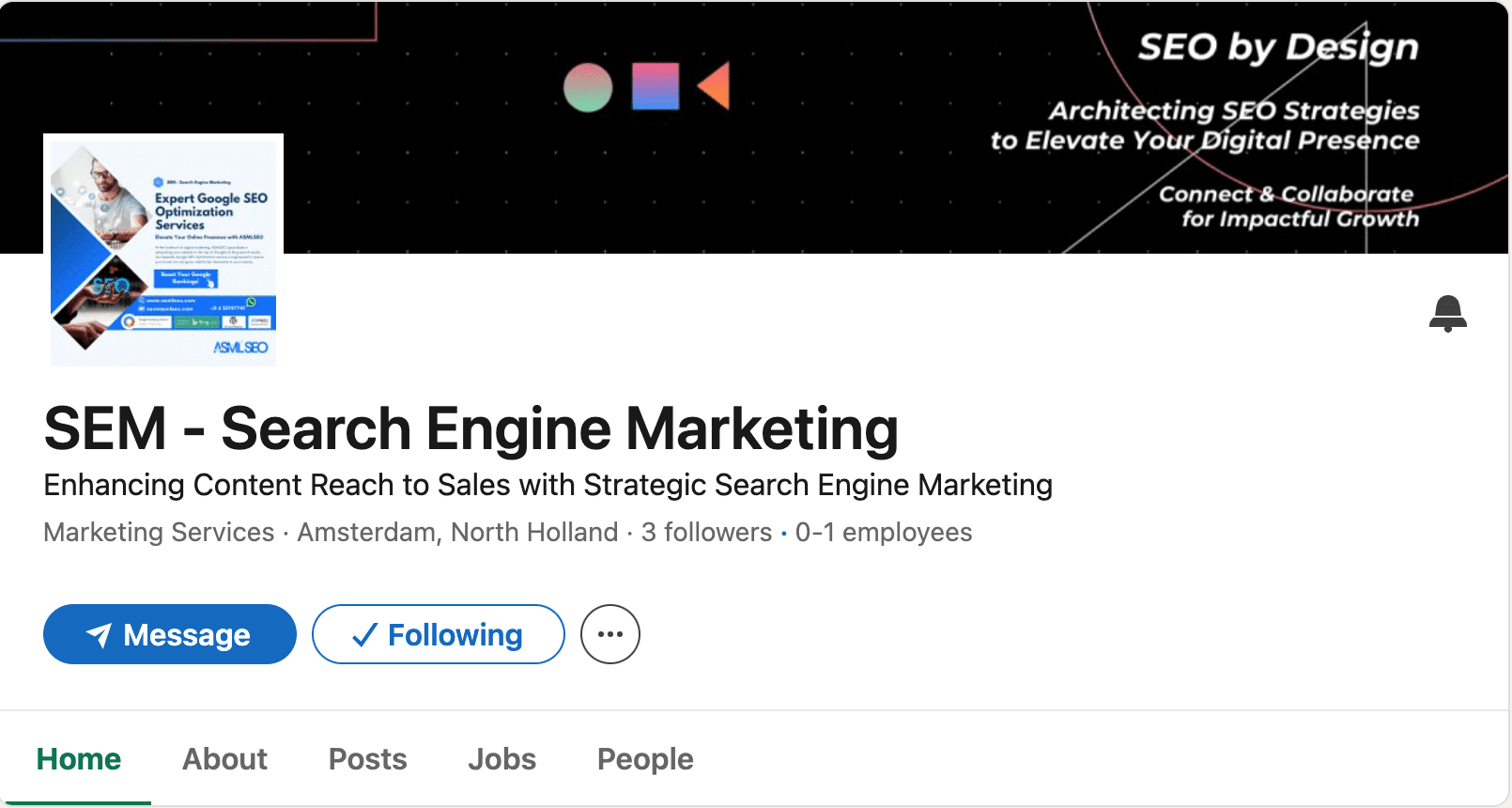 LinkedIn profile of SEM - Search Engine Marketing company in Amsterdam, showcasing Google SGE and ASMLSEO services.